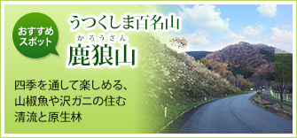 【うつくしま百名山 鹿狼山】四季を通じて楽しめる、山椒魚や沢ガニの住む清流と原生林