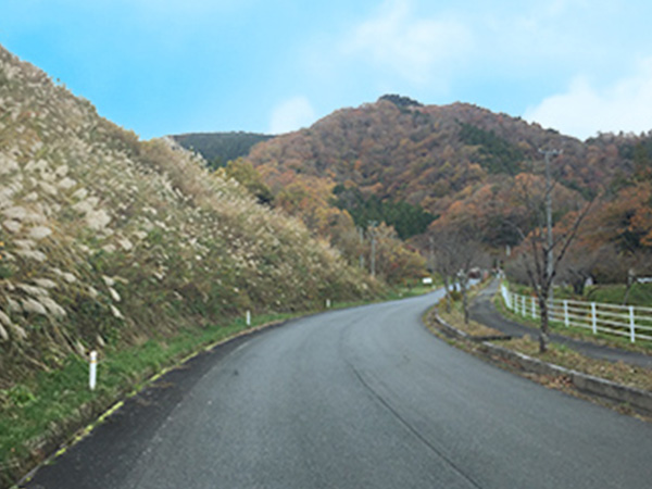 鹿狼山